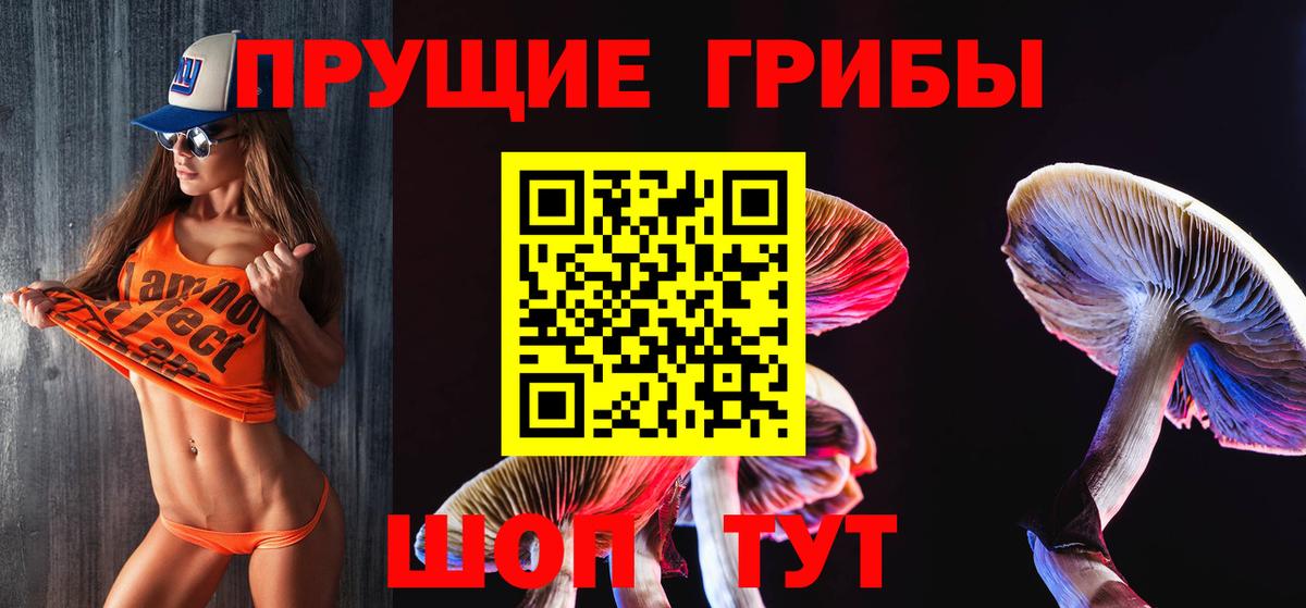 Псилоцибиновые грибы Psilocybe  Вход с VPN  Кувандык  Галлюциногенные грибы ЛСД 