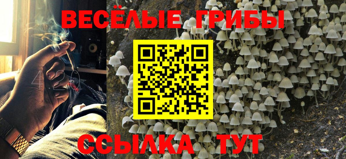 Галлюциногенные грибы мицелий Кувандык